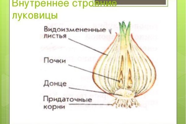 Не могу зайти на сайт кракен