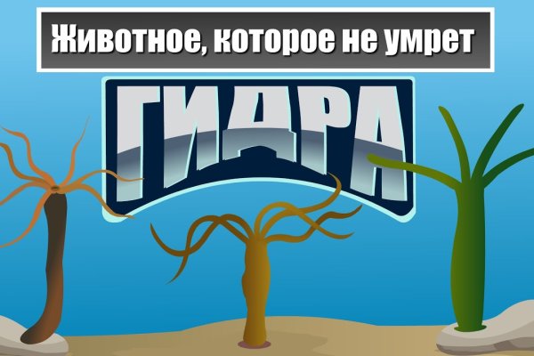 Как попасть на кракен