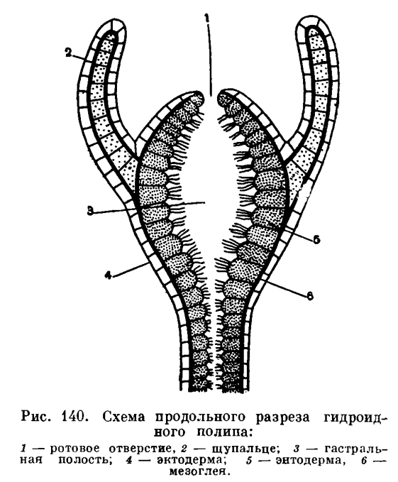 Кракен сайт даркнет зеркало