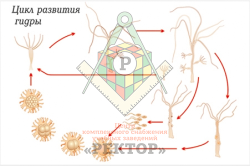 Кракен шоп интернет нарко